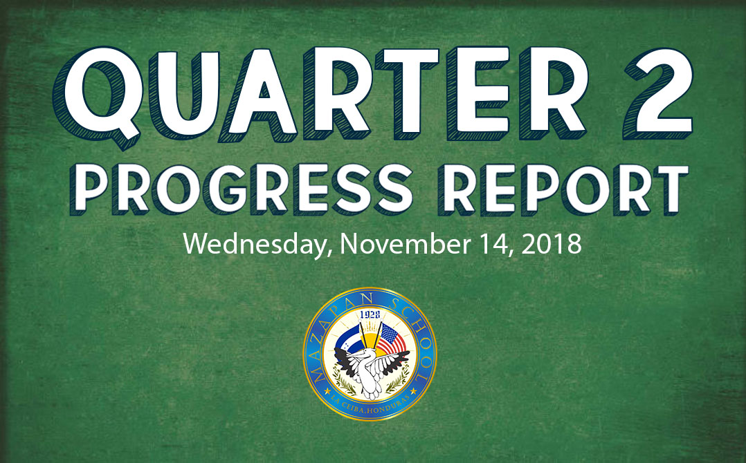 quarter 2 progress report